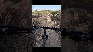 MTB Joyride_#mtb #trek #epic #outdoors  #actioncamera #gopro #shorts #shortsfeed #shortfeed