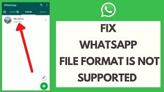 Fix WhatsApp File Format Is Not Supported | WhatsApp Status File Not Supported Problem (2021)