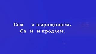 Плантация ванили и гвоздики на Мадагаскаре Илья Клейменов. Сами выращиваем - сами продаем.