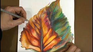 Speed Painting - Drawing Leafes with Colored Pencils on Paper