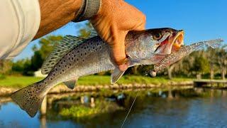 Inshore Trout Haul Shows Fall is Here!