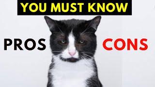 20 Surprising Pros and Cons of Tuxedo Cats