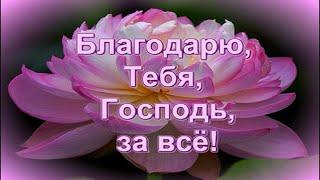 🪗«За всё Тебя Господь благодарю.»  Brat Bruder.