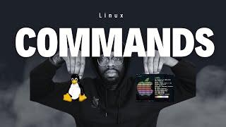 Basic Linux Commands: A Beginner’s Guide