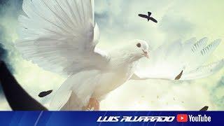 Angels Among Us (Original Mix) - Luis Alvarado feat. Jose Spinnin Cortes