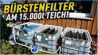 BÜRSTENFILTER im IBC CONTAINER! Ein KOITEICH mit "fast" 15.000 Litern!