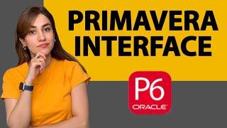 Introduction and Interface of Primavera P6 | General acquaintance of Primavera P6