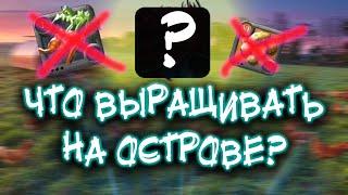 Заработок для новичка на острове! Что лучше всего выращивать на острове?