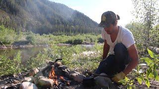 Trout Fishing In The Rocky Mountains