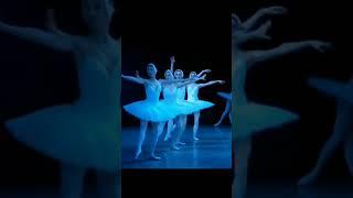 “Swan Lake  @mariinsky” 1