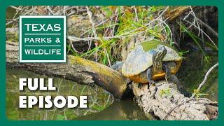 PBS Show - Paddling Trails, Edwards Aquifer & The Art of Texas