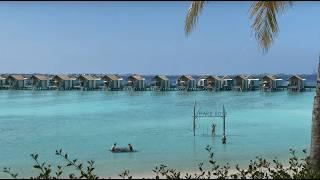 HARD ROCK HOTEL MALDIVES: The Most Rock&Roll Island in the World! 4K