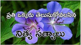 Telugu Wonderful Quotes || Nitya Satyalu || Jivitha Satyalu