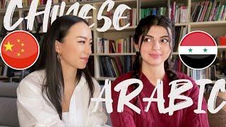 【Arabic video】Arabic-Chinese exchange with my syrian friend(subtitles)