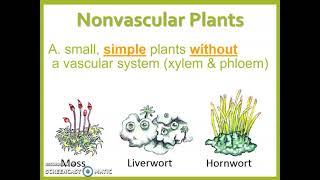 Nonvascular Plants