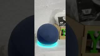 #alexa #echodot #echo #ozdo #destruccion #echodot3