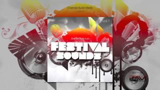 Festival Sounds Vol. 1 (Sylenth1 Soundbank)