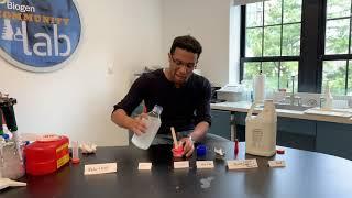 Virtual Community Lab: DIY Slime