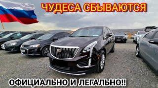 Авто из Армении в РФ 14 Мая 2023!! Отличные Новости!! Долар Падает!!