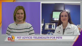 Pet Advice: Telehealth for Pets