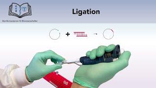 LIGATION