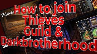 How to join the Thieves Guild and join the Dark Brotherhood in ESO - thieves guild skill line