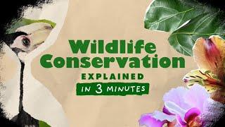 Wildlife Conservation | Explained in 3 Minutes #04