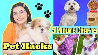 Testing Out VIRAL PET HACKS BY 5 MINUTE CRAFTS | Yashita Rai