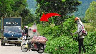 Increased Risk: Hidden Dangers Behind Overgrown Sidewalks - Streets Swallowed by Grass | Clean Up