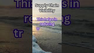 Supply Chain Visibility