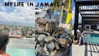 living in Jamaica | 24 hours in Kingston, market run and what I’m bringing back to England