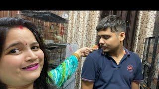 Masti to dekho inki #parrotvideo #sonaliparrot #greenparrot