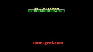 194 - Echokardiografie - Erläuterung