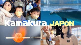Niños japoneses reaccionan a los delfines + hotel JAPONES + hacemos vidrio VIAJANDO POR JAPÓN