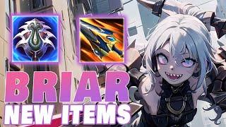 NEW S14 Briar Bruiser Build After BUFFS | Indepth Guide Learn