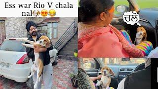 Ess War Rio V Chala Nal  | Bye Bye | Anmol Bhullar | Vlog