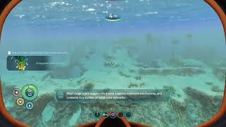 I'm Not Hacking I Swear | Subnautica