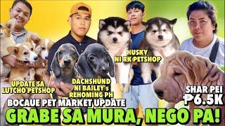 MALALAKING DISCOUNT PARA PO SA INYO | BOCAUE PET MARKET UPDATE | JUNE 07, 2024