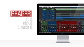 Reaper Tutorial: Time Selection Auto Punch Recording