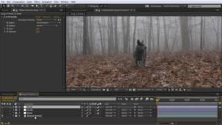 How to Easily Create a LUT With Adobe After Effects or Premiere Pro