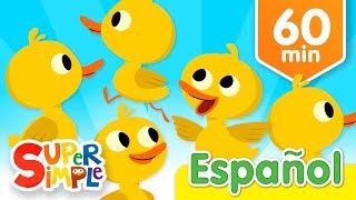 Cinco Patitos Y Más Canciones Infantiles | Música Para Niños