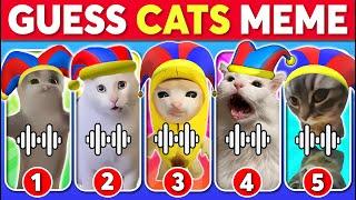 GUESS CATS MEME | The Amazing Digital Circus, Chipi Chipi Chapa Chapa Cat, Happy Cat, Banana Cat