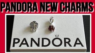 Pandora New Charms: Ladybird & Cloud & Swallow ⭐️