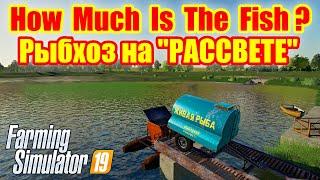 farming simulator 2019 рыбхоз на РАССВЕТЕ !!!
