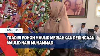 Tradisi Pohon Maulid Meriahkan Peringaan Maulid Nabi Muhammad