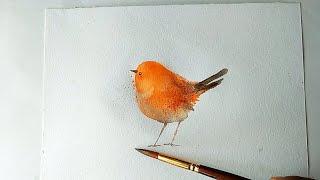 How To Paint Cute Bird, Watercolor Painting Step By Step Guide For Beginners.