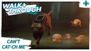 Stray - Can't Cat-ch Me Trophy / Achievement Guide