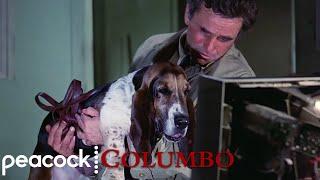 Columbo's Dog Loves TV | Columbo