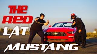 THE RED LAT MUSTANG | Car Vlog | The Great Mohammad Ali