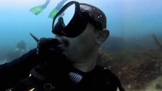 The Aquarium  2 • Scuba Diving w Dillon • 360° in 4K • 6/13/23